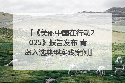 《美丽中国在行动2025》报告发布 青岛入选典型实践案例