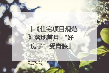 《住宅项目规范》落地首月 “好房子”受青睐