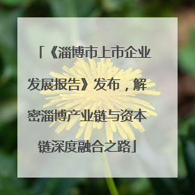 《淄博市上市企业发展报告》发布，解密淄博产业链与资本链深度融合之路