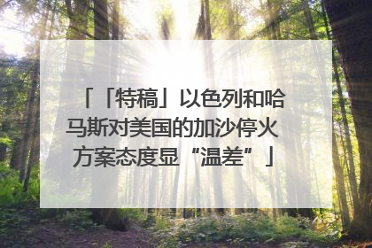 「特稿」以色列和哈马斯对美国的加沙停火方案态度显“温差”