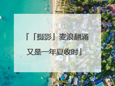 「摄影」麦浪翻涌 又是一年夏收时