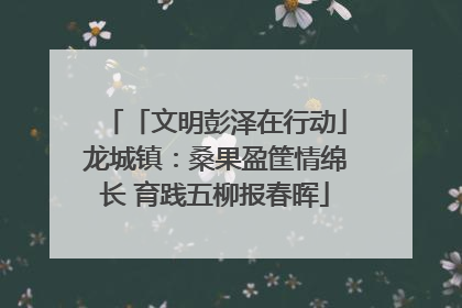 「文明彭泽在行动」龙城镇：桑果盈筐情绵长 育践五柳报春晖