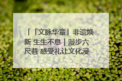 「文脉华章」非遗焕新 生生不息｜漫步六尺巷 感受礼让文化浸润的“巷”往生活