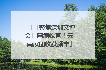 「聚焦深圳文博会」圆满收官！云南展团收获颇丰