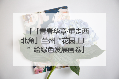 「青春华章·重走西北角」兰州“花园工厂”绘绿色发展画卷