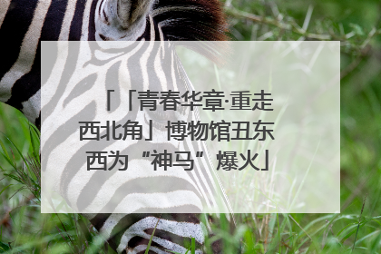 「青春华章·重走西北角」博物馆丑东西为“神马”爆火