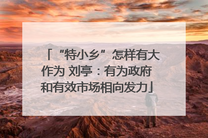 “特小乡”怎样有大作为 刘亭：有为政府和有效市场相向发力