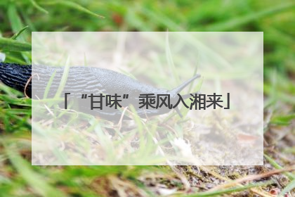 “甘味”乘风入湘来
