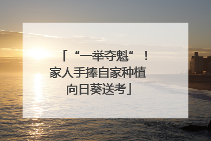 “一举夺魁”！家人手捧自家种植向日葵送考