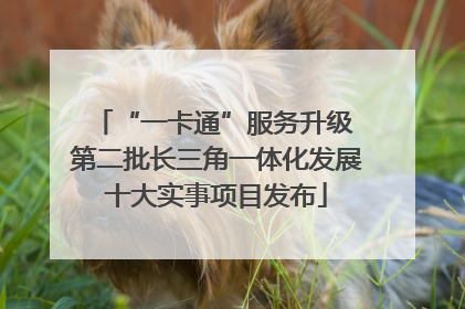 “一卡通”服务升级 第二批长三角一体化发展十大实事项目发布