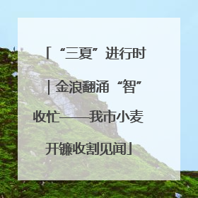 “三夏”进行时｜金浪翻涌“智”收忙——我市小麦开镰收割见闻