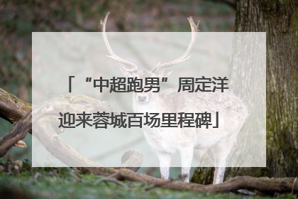 “中超跑男”周定洋迎来蓉城百场里程碑