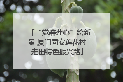 “党群莲心”绘新景 厦门同安莲花村走出特色振兴路