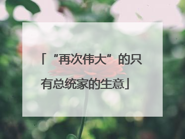 “再次伟大”的只有总统家的生意