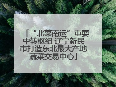 “北菜南运”重要中转枢纽 辽宁新民市打造东北最大产地蔬菜交易中心