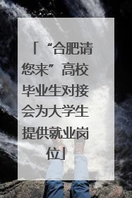 “合肥请您来”高校毕业生对接会为大学生提供就业岗位