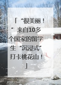“很美丽！”来自10多个国家的留学生“沉浸式”打卡桃花山！