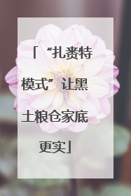 “扎赉特模式”让黑土粮仓家底更实