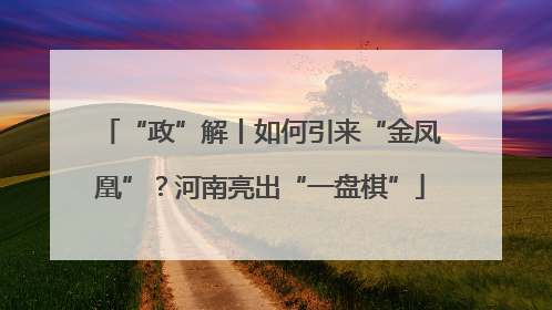 “政”解丨如何引来“金凤凰”？河南亮出“一盘棋”