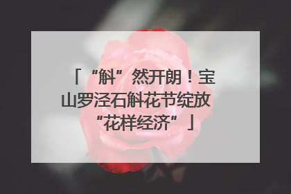 “斛”然开朗！宝山罗泾石斛花节绽放“花样经济”