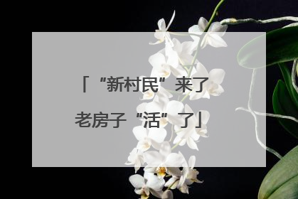 “新村民”来了 老房子“活”了