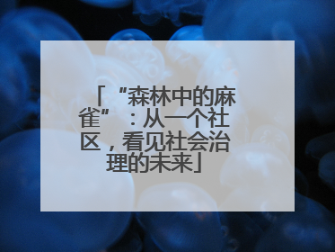 “森林中的麻雀”：从一个社区，看见社会治理的未来