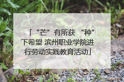 “芒”有所获 “种”下希望 滨州职业学院进行劳动实践教育活动