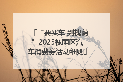 “要买车 到槐荫”2025槐荫区汽车消费券活动细则