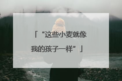 “这些小麦就像我的孩子一样”