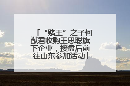 “赌王”之子何猷君收购王思聪旗下企业，接盘后前往山东参加活动