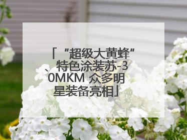 “超级大黄蜂”、特色涂装苏-30MKM 众多明星装备亮相