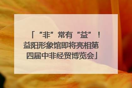 “非”常有“益”！益阳形象馆即将亮相第四届中非经贸博览会