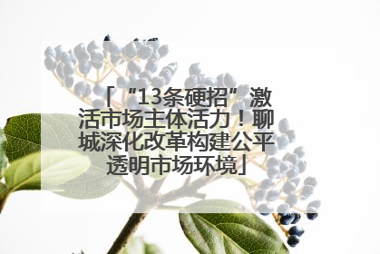 “13条硬招”激活市场主体活力！聊城深化改革构建公平透明市场环境