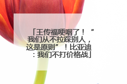 王传福哽咽了！“我们从不拉踩别人，这是原则”！比亚迪：我们不打价格战