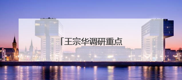 王宗华调研重点项目建设工作