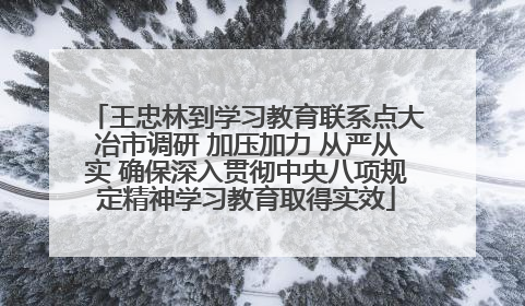王忠林到学习教育联系点大冶市调研 加压加力 从严从实 确保深入贯彻中央八项规定精神学习教育取得实效