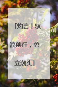 灼言丨驭浪前行，勇立潮头