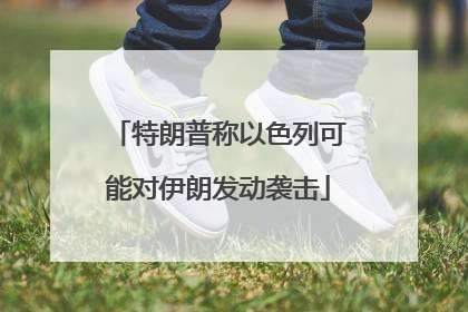 特朗普称以色列可能对伊朗发动袭击