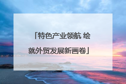 特色产业领航 绘就外贸发展新画卷