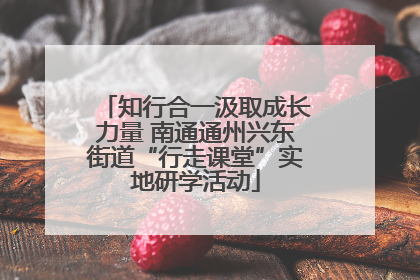 知行合一汲取成长力量 南通通州兴东街道“行走课堂”实地研学活动