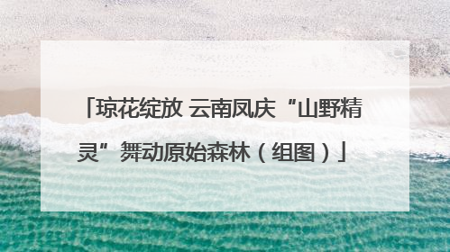 琼花绽放 云南凤庆“山野精灵”舞动原始森林（组图）