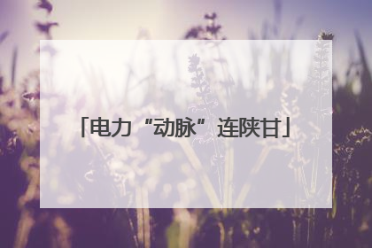 电力“动脉”连陕甘