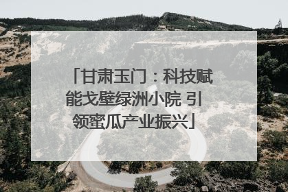 甘肃玉门：科技赋能戈壁绿洲小院 引领蜜瓜产业振兴
