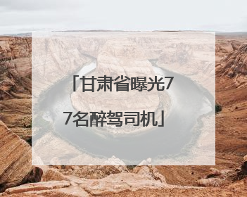 甘肃省曝光77名醉驾司机