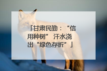 甘肃民勤：“信用种树” 汗水浇出“绿色存折”