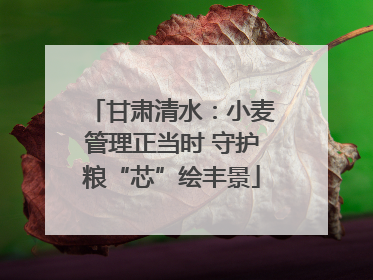 甘肃清水：小麦管理正当时 守护粮“芯”绘丰景