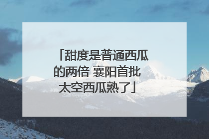 甜度是普通西瓜的两倍 襄阳首批太空西瓜熟了