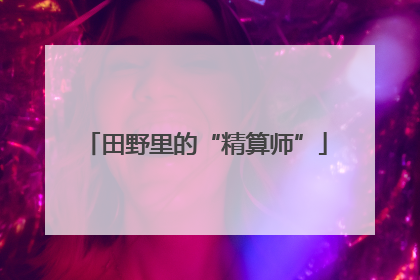 田野里的“精算师”