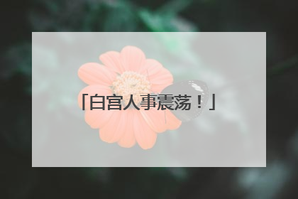 白宫人事震荡！