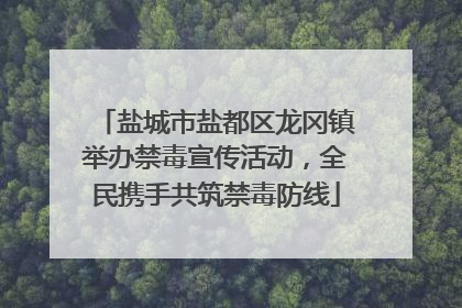 盐城市盐都区龙冈镇举办禁毒宣传活动，全民携手共筑禁毒防线